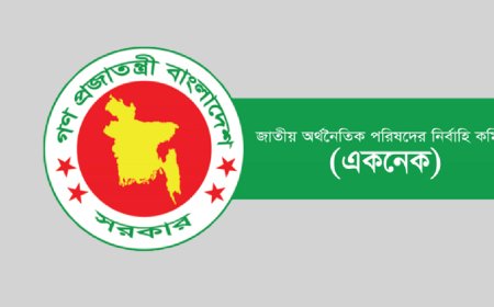 ECNEC formed with PM Tarique Rahman as Chairperson