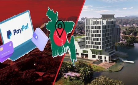 গেজেটে পেপ্যাল চালুর উদ্যোগ