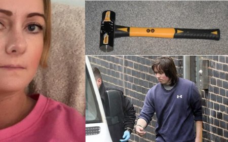 এআইয়ের পরামর্শে হাতুড়ি দিয়ে মাকে হত্যা!