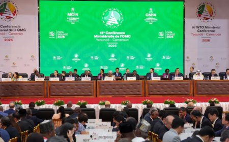 WTO Members Advance First-Ever Digital Trade Rules Despite Opposition