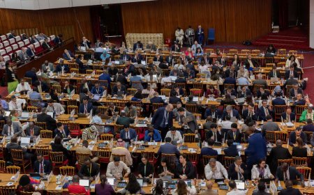 WTO Talks Stalled as Divisions Persist on E-Commerce Duties and Reforms