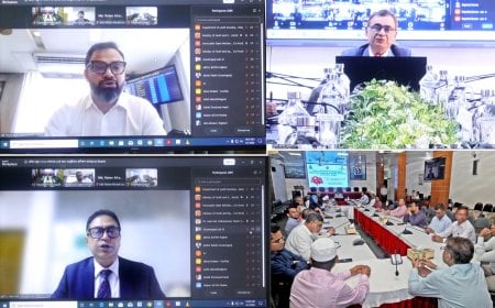 Nationwide Freelancing Training Drive Launched to Boost Digital Employment