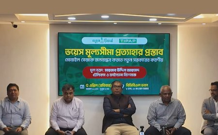 Voice Price Cap Criticized: Experts Urge Policy Shift for Digital Inclusion