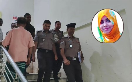 তনু হত্যার ১০ বছর পর তিনজনের ডিএনএ পরীক্ষার নির্দেশ