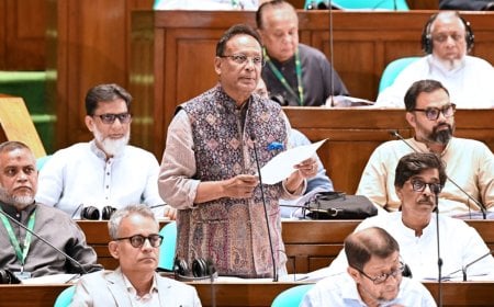 সংসদে ‘সাইবার সুরক্ষা বিল-২০২৬’ পাস