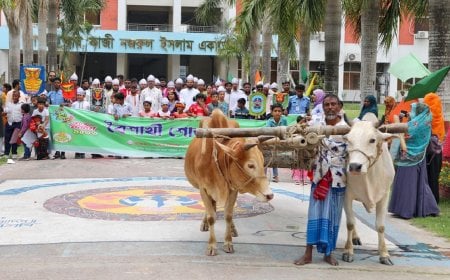 নানা আয়োজনে যবিপ্রবিতে পহেলা বৈশাখ উদযাপন