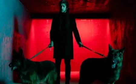 ওটিটিতে ঝুঁকছেন তৌসিফ