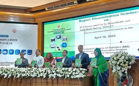 দেশের ৫৩ শতাংশ মানুষ ইন্টারনেট ব্যবহার করেন