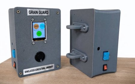 সংরক্ষিত ধানের ক্ষতি কমাতে স্মার্ট আল্ট্রাসনিক প্রযুক্তি উদ্ভাবন 