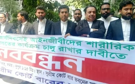 ২ দিন ভার্চুয়াল বিচারে আইনজীবীদের বিক্ষোভ