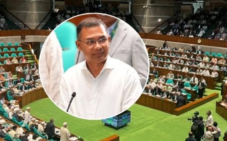 দেশে আসছে পেপ্যাল, ২ লাখ ফ্রিল্যান্সার পাবেন আইডি কার্ড: প্রধানমন্ত্রী