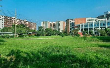 টাইমস হায়ার র‌্যাঙ্কিংয়ে দেশ  সেরা বিজ্ঞান ও প্রযুক্তি বিশ্ববিদ্যালয় যবিপ্রবি