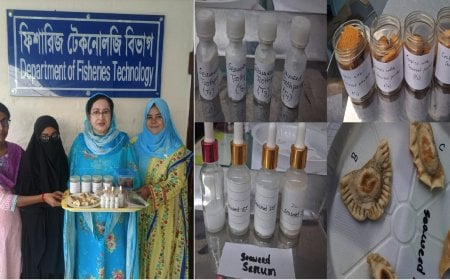 লাল শৈবালে নতুন সম্ভাবনা