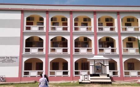 ময়মনসিংহে স্কুলের তালা ভেঙে কম্পিউটারসহ ৩ লাখ টাকার মালামাল চুরি