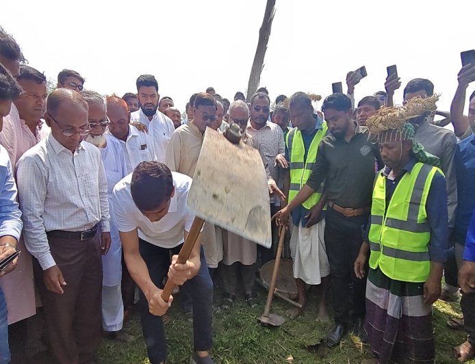 পরিবেশ ক্ষতিকারক ইউক্যালিপ্টাস গাছ কেটে ফেলতে হবে