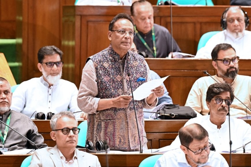 সংসদে ‘সাইবার সুরক্ষা বিল-২০২৬’ পাস