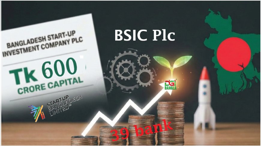 Startup Support Surge: BSIC Launches Equity-Based Tech Fund with Bank-Backed Capital