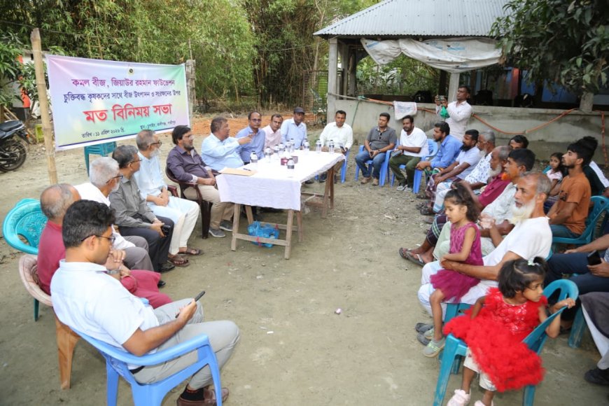 BRRI-108 ‘Komol’ Rice Pilot Expands Seed Production for Farmers