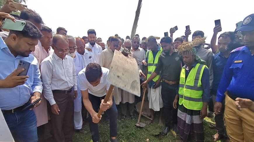 পরিবেশ ক্ষতিকারক ইউক্যালিপ্টাস গাছ কেটে ফেলতে হবে