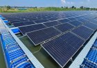 Solar Synergy: Bangladesh Launches First PPP-Based Solar Power Project