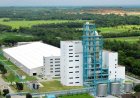 Ammonia Resumes, DAPFC Production Restarts in Chattogram