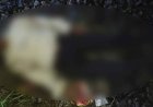 TikTok Tragedy: Two Killed by Train While Filming on Rail Tracks
