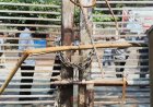 DUET Deadlock Deepens as Students Continue VC Protest Blockade