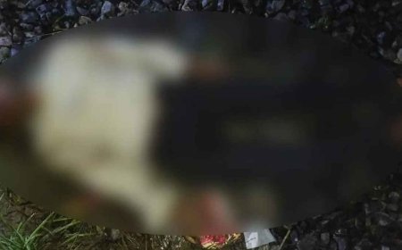 গাজীপুরে টিকটক ভিডিও করতে গিয়ে ট্রেনের ধাক্কায় নিহত ২