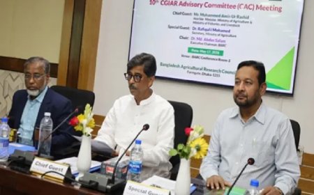 কৃষি সেচ শতভাগ সোলারের আওতায় আনা হচ্ছে: কৃষিমন্ত্রী