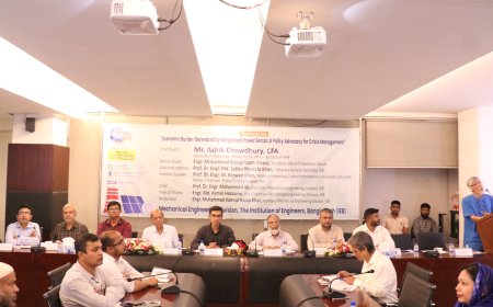 বিদ্যুৎ খাতে বাড়ছে অর্থনৈতিক চাপ, প্রয়োজন নীতিগত সংস্কার