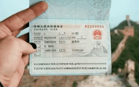 ওয়েবসাইটে ভিসা আবেদনে জোর দিল চীন