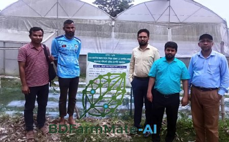 ‘বিডি ফার্মমেট-এআই’ অ্যাপ  তৈরি করলেন বাকৃবির গবেষকেরা