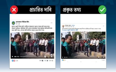 ধর্ষণকারীসহ দুজন নিহতের দাবিটি মিথ্যা, ভিডিওটি গতবছরের