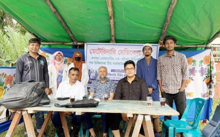 কোরবানির পশুর স্বাস্থ্য পরীক্ষায় বাকৃবির বিশেষ ভেটেরিনারি টিম
