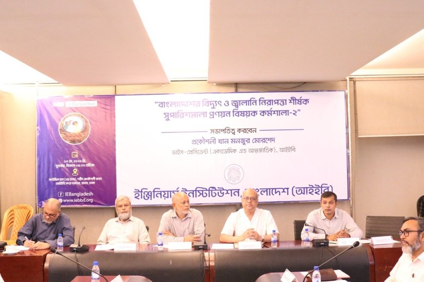 বিদ্যুৎ ও জ্বালানি নিরাপত্তায় দেশীয় সম্পদের সর্বোচ্চ ব্যবহারের তাগিদ