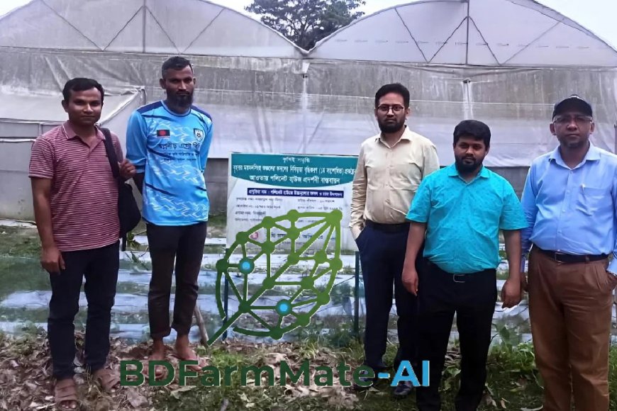 ‘বিডি ফার্মমেট-এআই’ অ্যাপ  তৈরি করলেন বাকৃবির গবেষকেরা