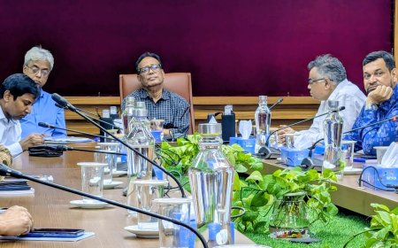 দেশে বাতাসের মান ও হালাল খাবার যাচাই করবে বিসিএসআইআর